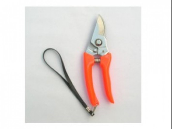 Pruning Shear - Plastic Handle 6.5"